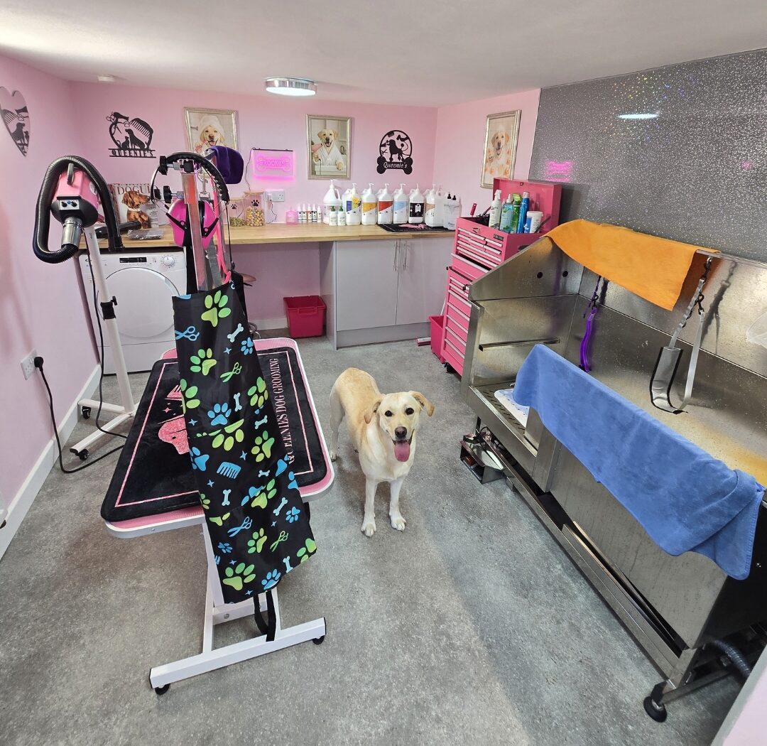 Queenies Dog Grooming salon